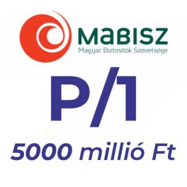 MABISZ "P/1", 5000 millió Ft